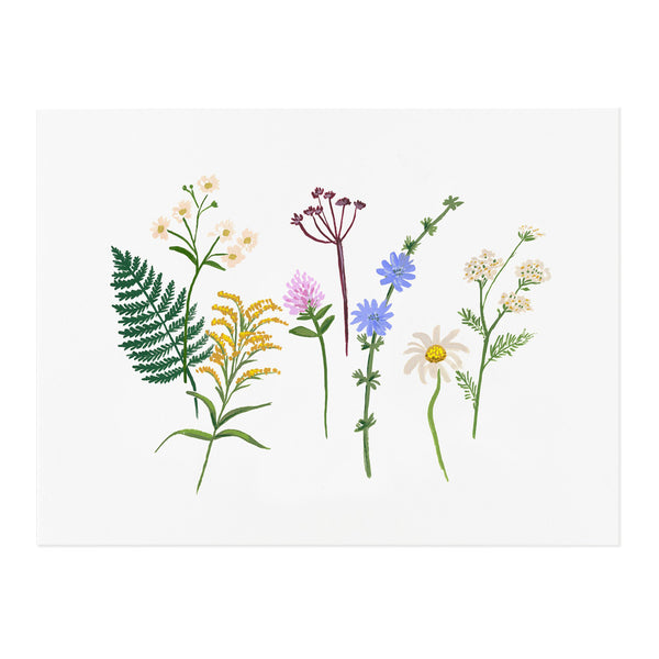 Rifle Paper Co. Wildflowers Art Print