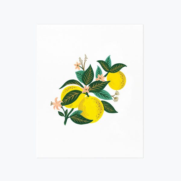 Rifle Paper Co. Lemon Blossom Art Print