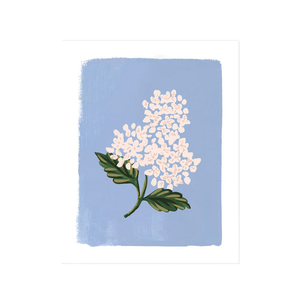 Rifle Paper Co. Hydrangea Bloom Blue Art Print