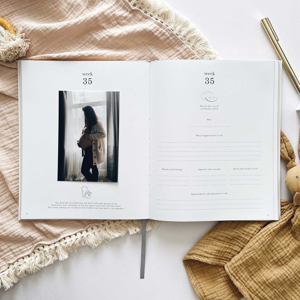 Blush And Gold - My Pregnancy Journal - Safari with Gilded Edges