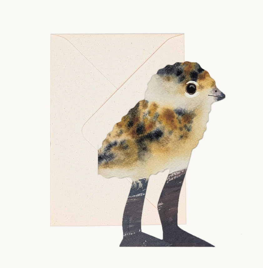 Hadley Paper Goods Lapwing Card