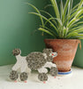 Hadley Paper Goods The Birthday Poodle Card - Grey