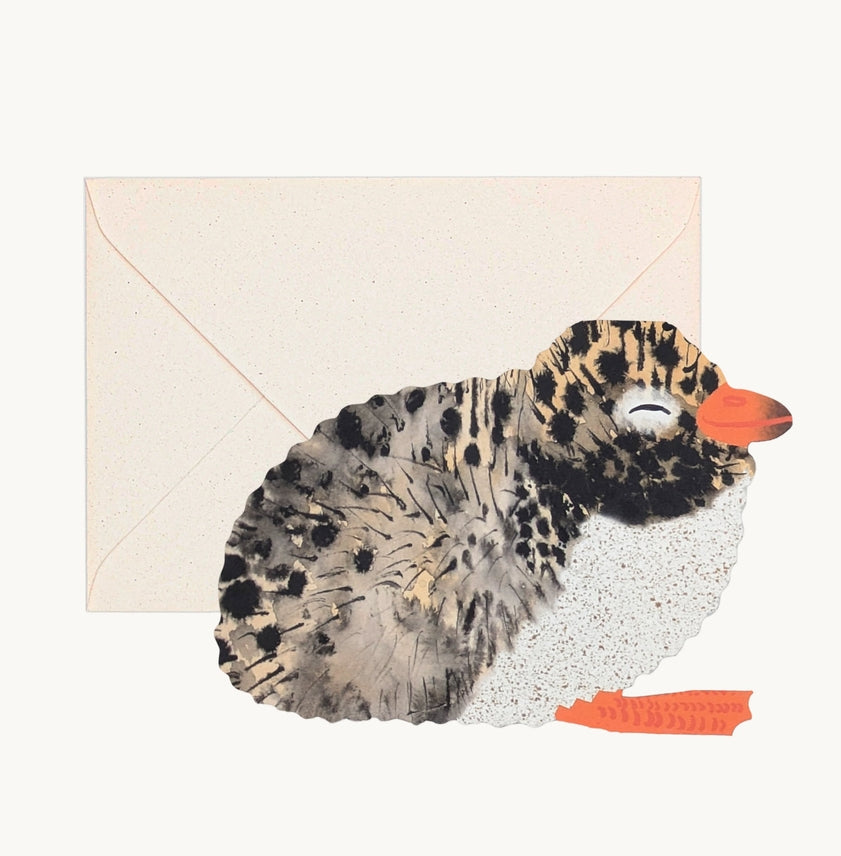 Hadley Paper Goods Artic Tern Chick Card 