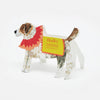 Hadley Paper Goods Happy Birthday Jack Russell Card