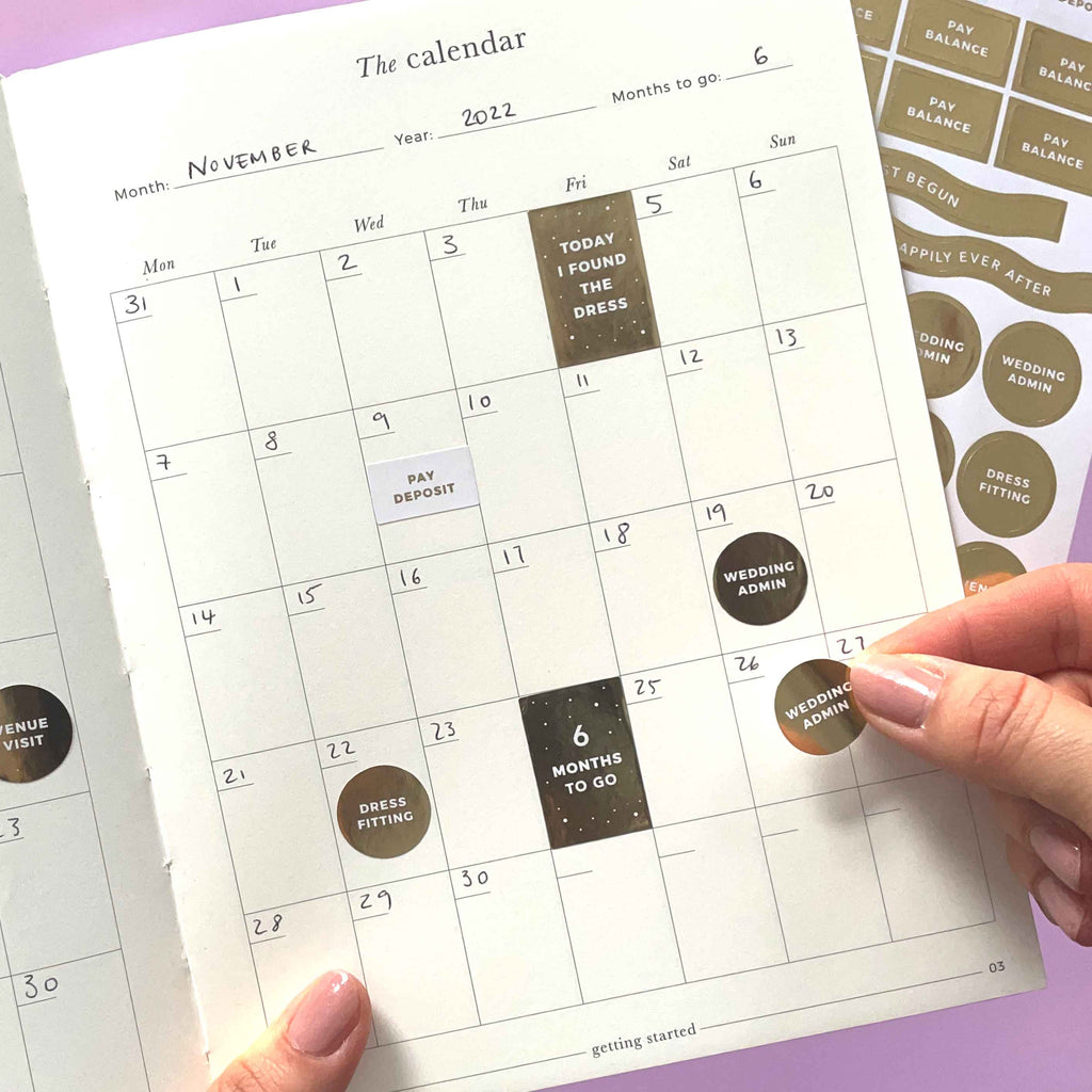 Blush And Gold - Wedding Sticker Pack (3 sheets)