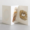Barn Owl, Bird Nature Lover Concertina Card