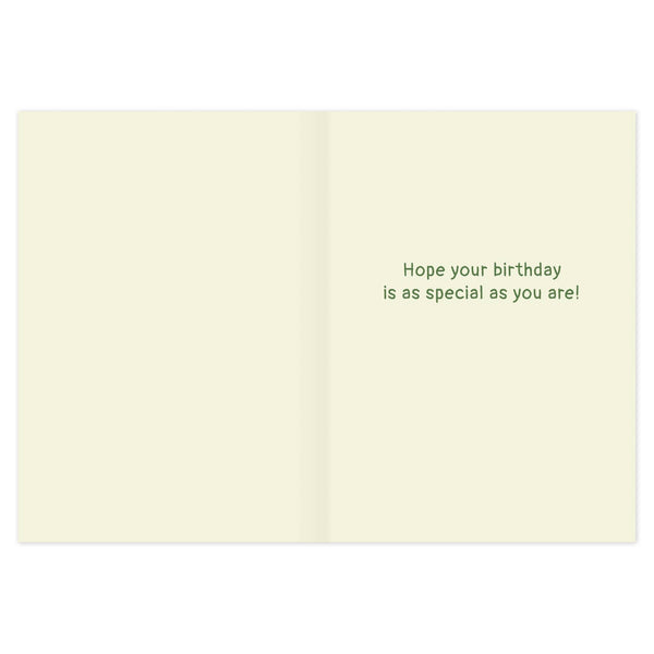 An open cream-colored greeting card with green text on the right side that reads, 'Hope your birthday is as special as you are!' on a white background.