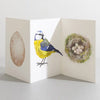 Wren Bird Nature Lover Concertina Card