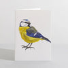 Wren Bird Nature Lover Concertina Card