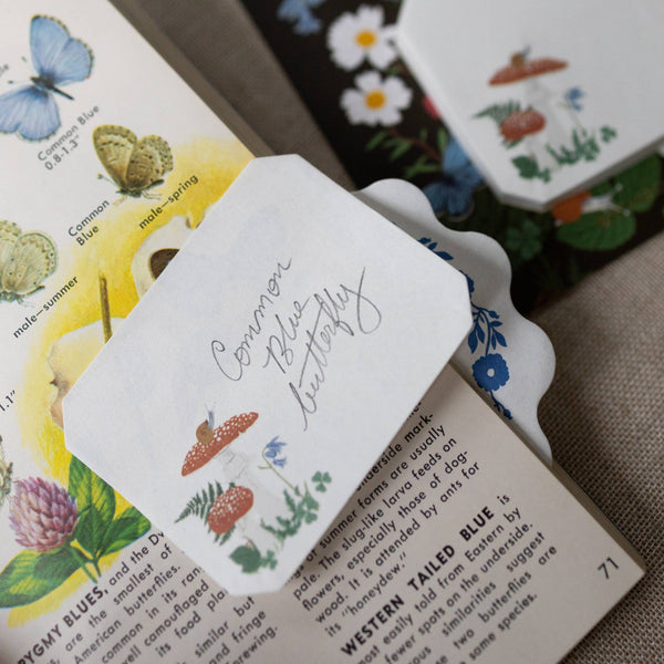 Card with 'Common Blue Butterfly' illustration on a book page with botanical illustrations.
