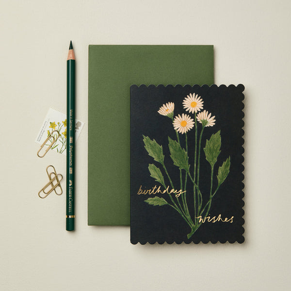 Wanderlust Paper Co. Botanical Daisy 'Birthday Wishes' Card