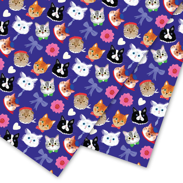 Carolyn Suzuki Cat Fanzy Wrap