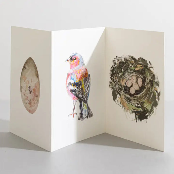 Chaffinch Bird Nature Lover Concertina Card