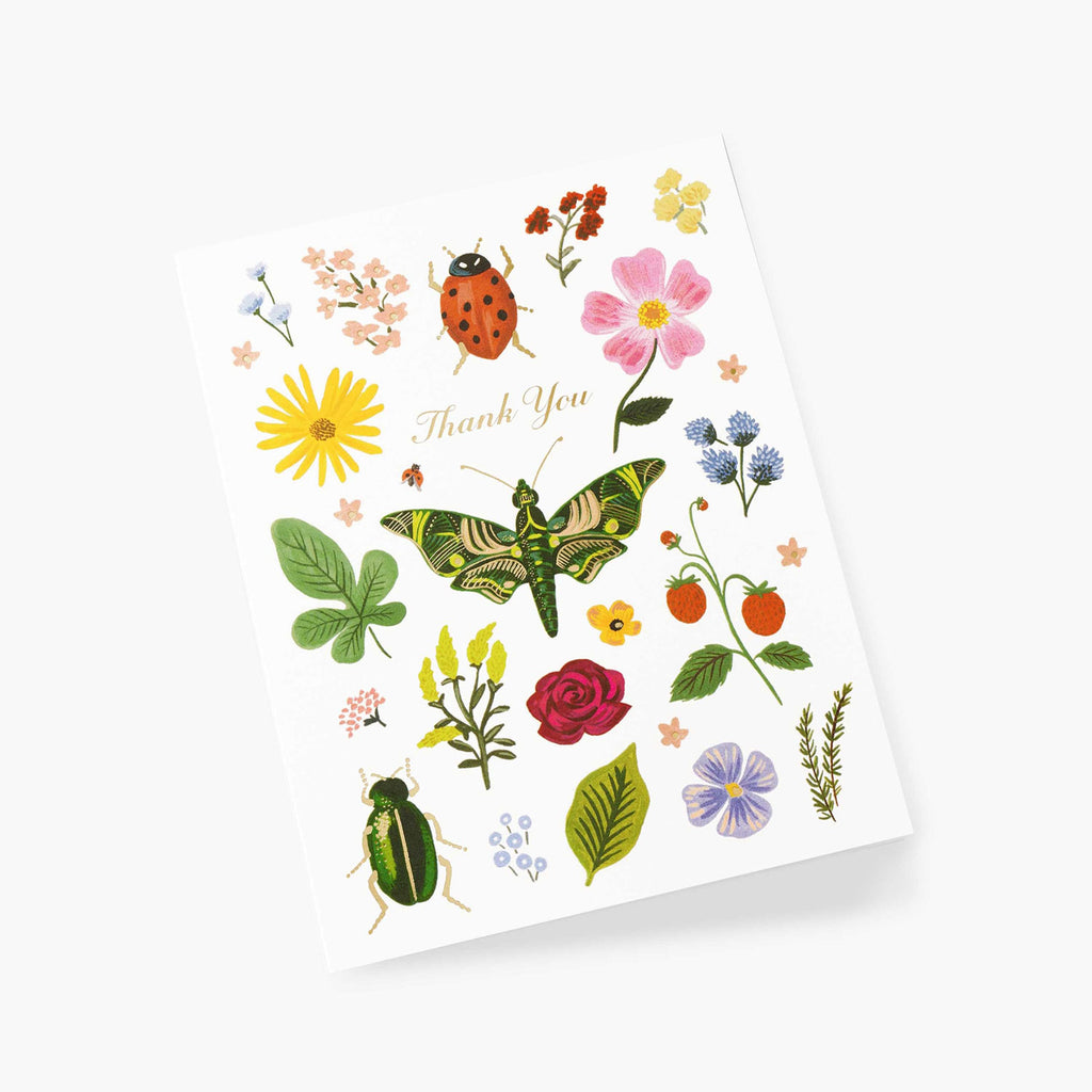 Rifle Paper Co. Curio Thank You Card SET