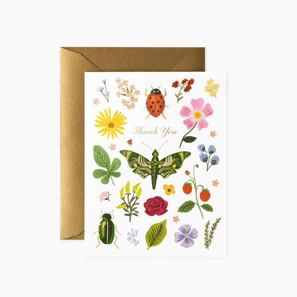 Rifle Paper Co. Curio Thank You Card SET