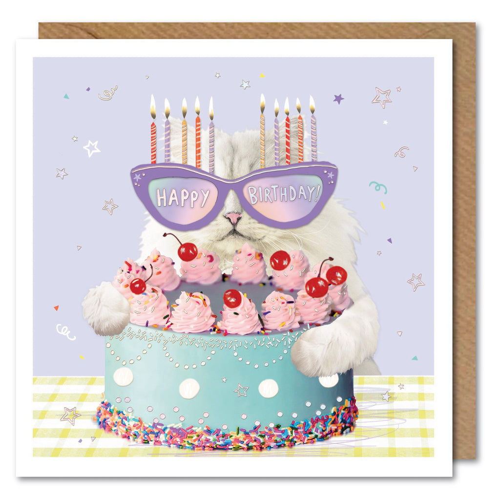 Paperlink - Coco Loco - Cat & Cake Birthday Card
