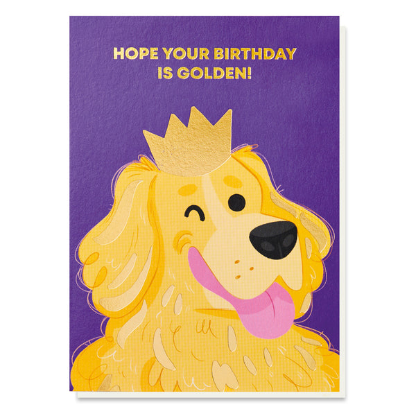 Stormy Knight Golden Birthday Card