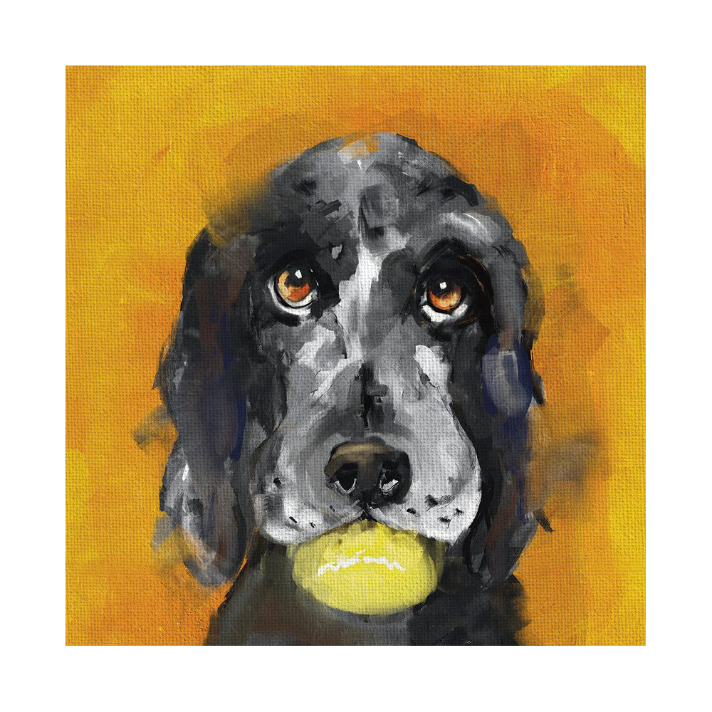 The Art File Harold The Dog Card