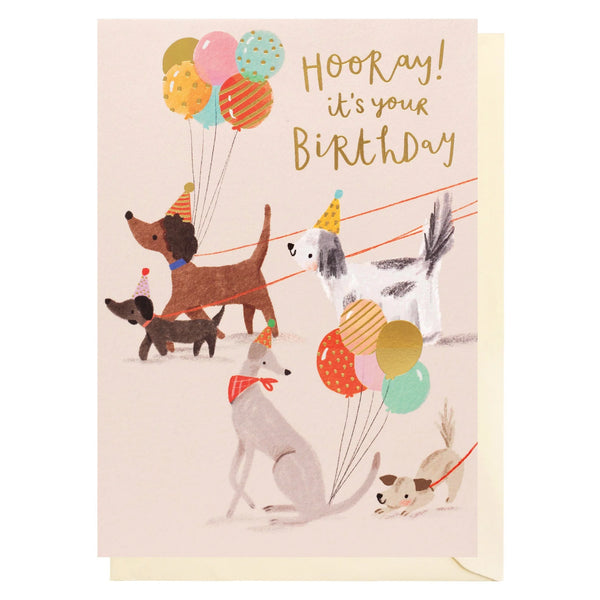 Louise Tiler Hooray Birthday Dogs Card