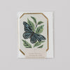 Greeting card with butterfly and leaf design on a white background