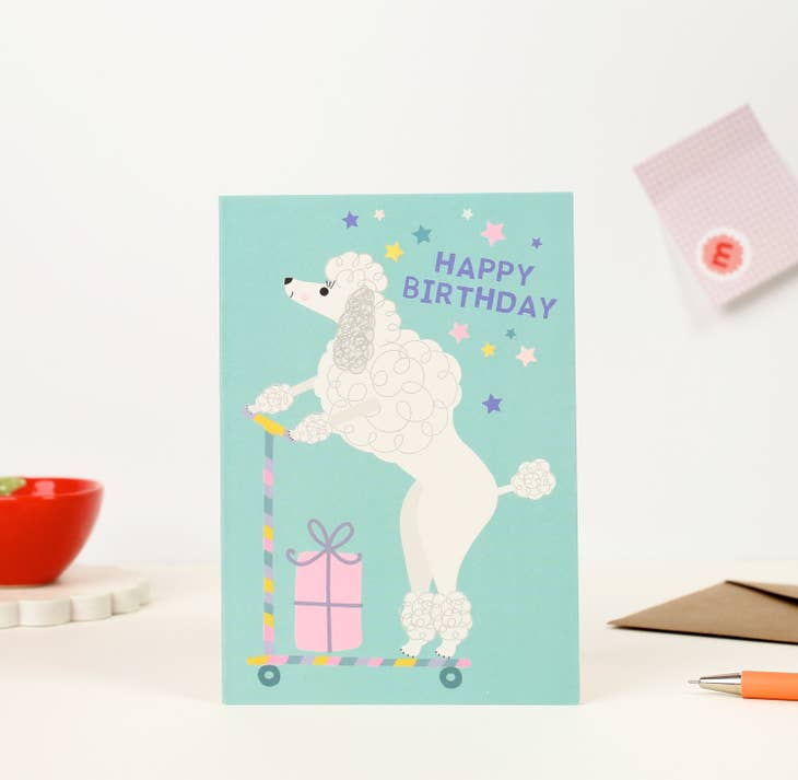 Mifkins - Birthday Card Multipack - PASTELS