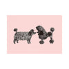 Two black dogs facing each other on a pink background
