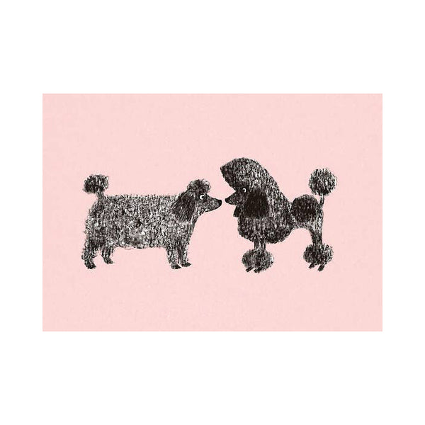 Two black dogs facing each other on a pink background