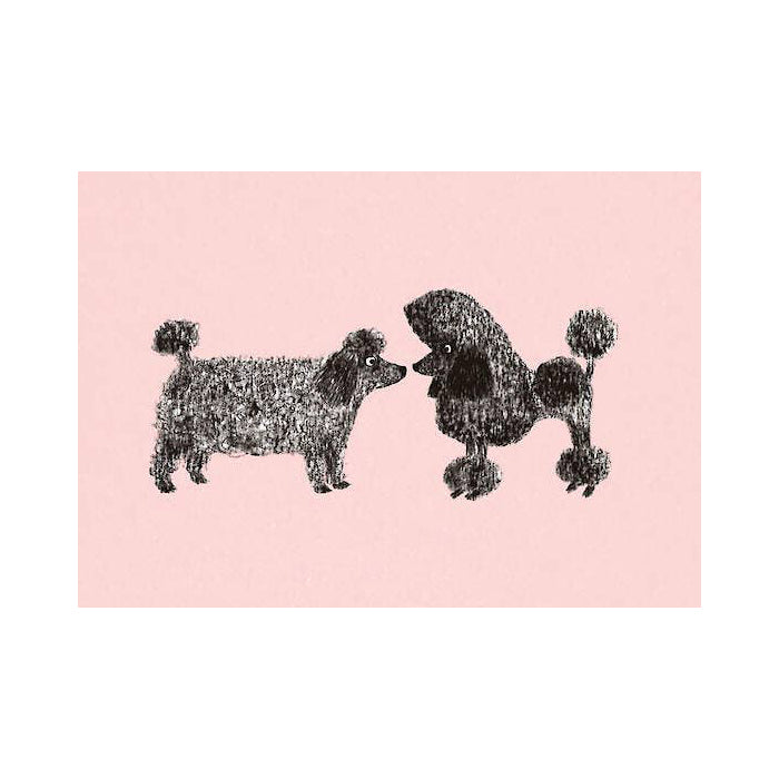 Two black dogs facing each other on a pink background