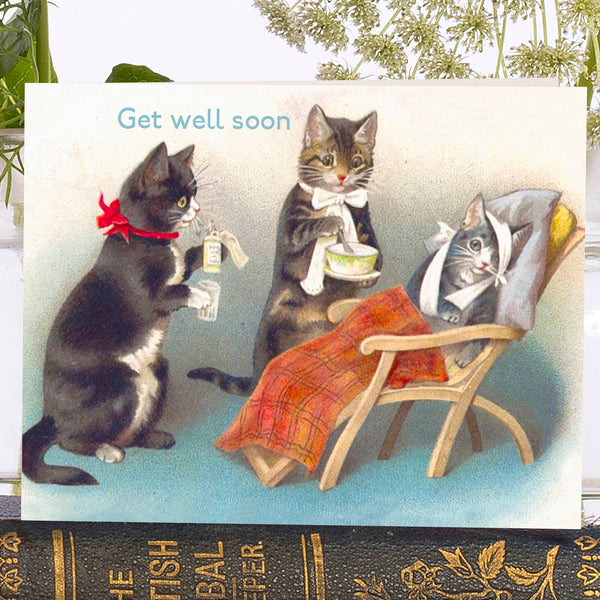 Madame Treacle - Cats Get Well Soon Card