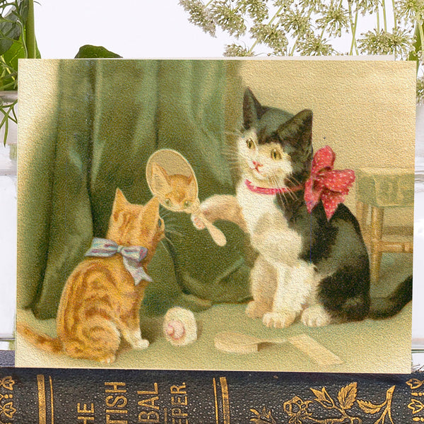 Madame Treacle - Pretty Kitty Card