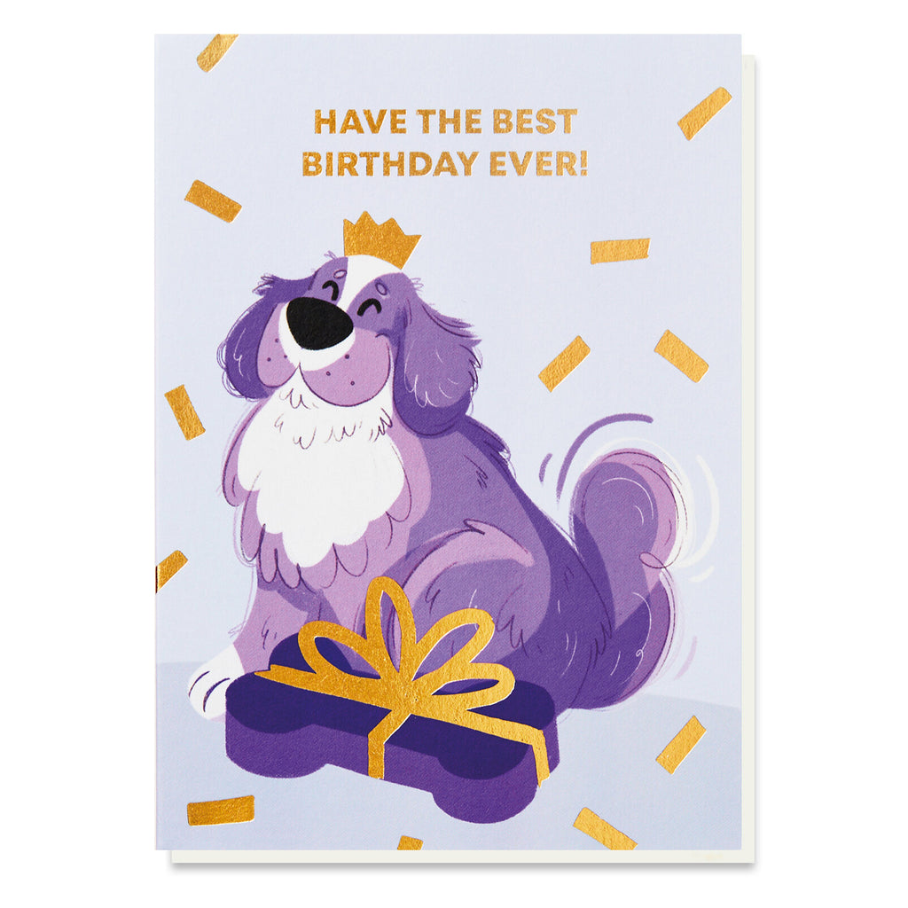 Stormy Knight St Bernard Birthday Card