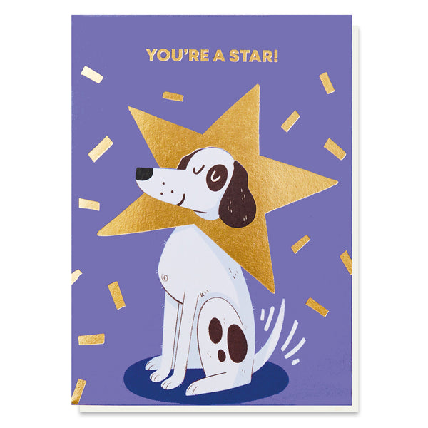 Stormy Knight Star Dog Birthday Card