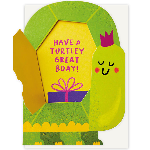 Stormy Knight Turtley Great Birthday Card