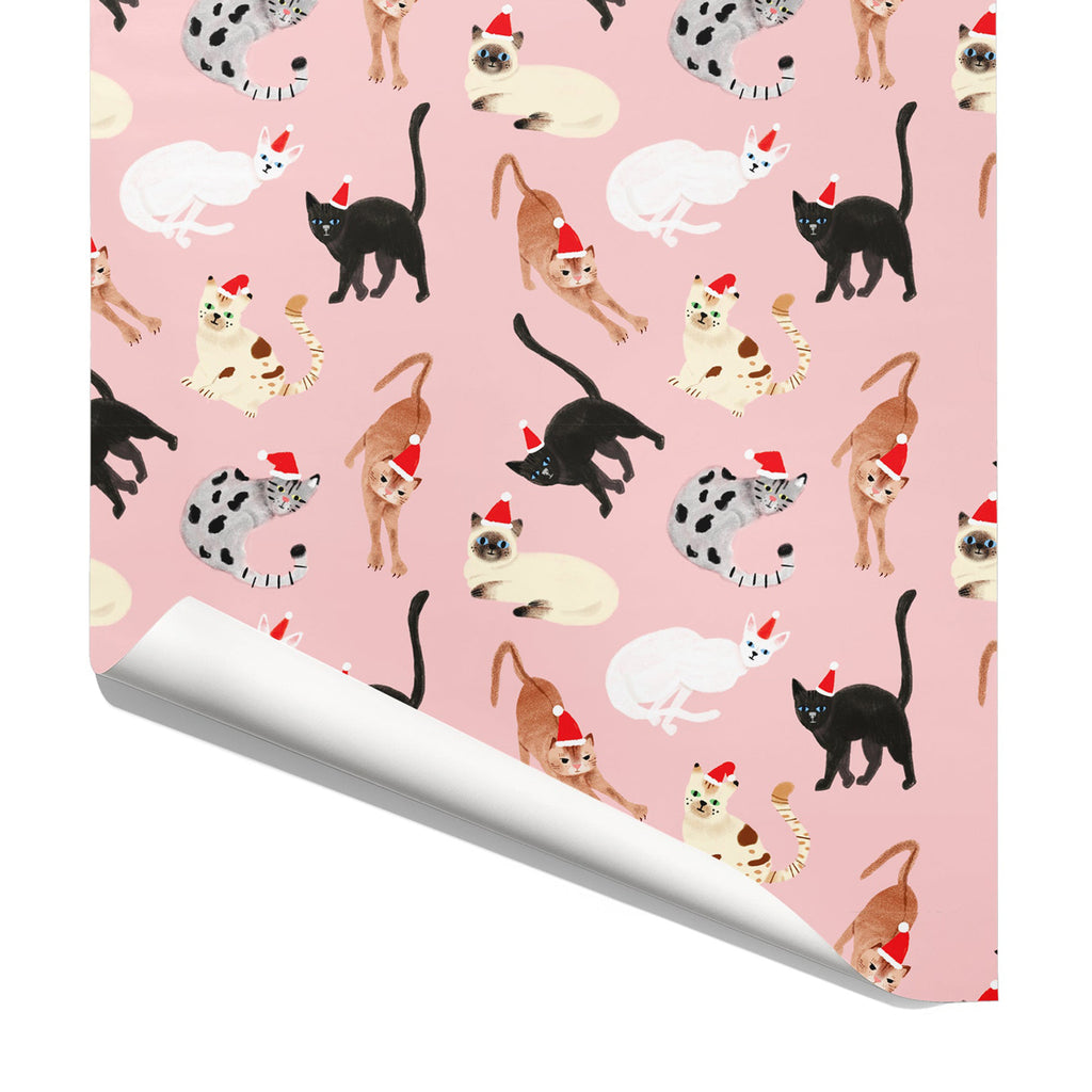 Carolyn Suzuki Feline Christmas Wrap