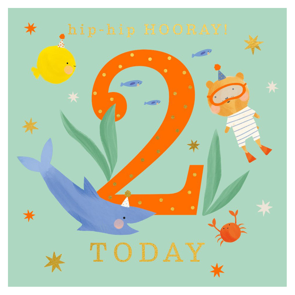 The Art File Party Time 2 Today Birthday Card