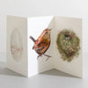 Wren Bird Nature Lover Concertina Card