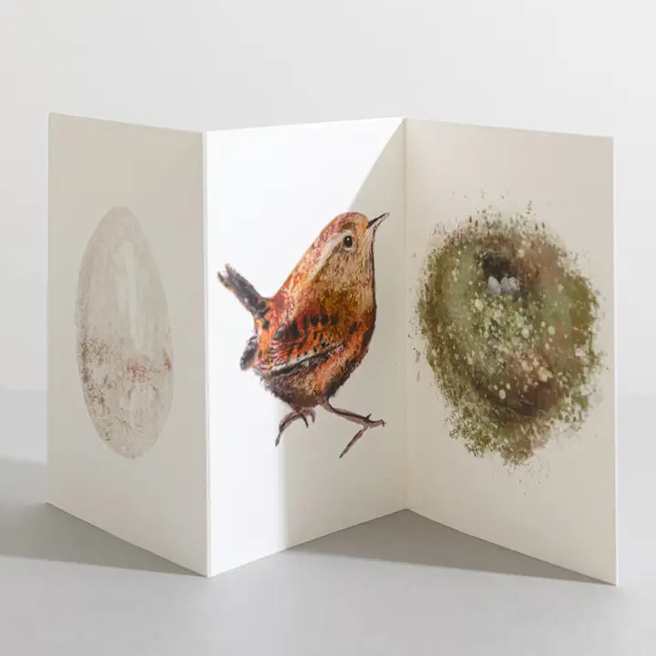 Wren Bird Nature Lover Concertina Card