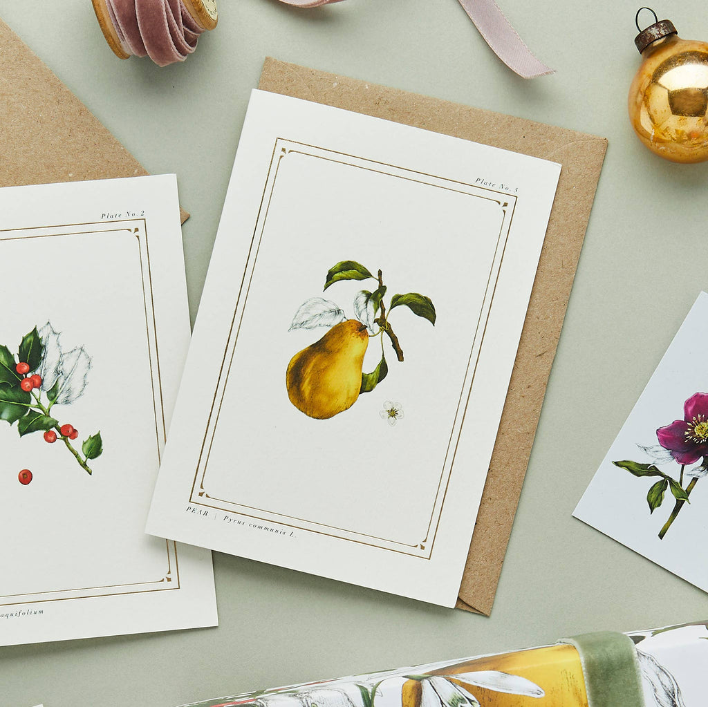 Catherine Lewis Design - Pear - 'The Botanist Archive : Festive Edition' Christmas Card