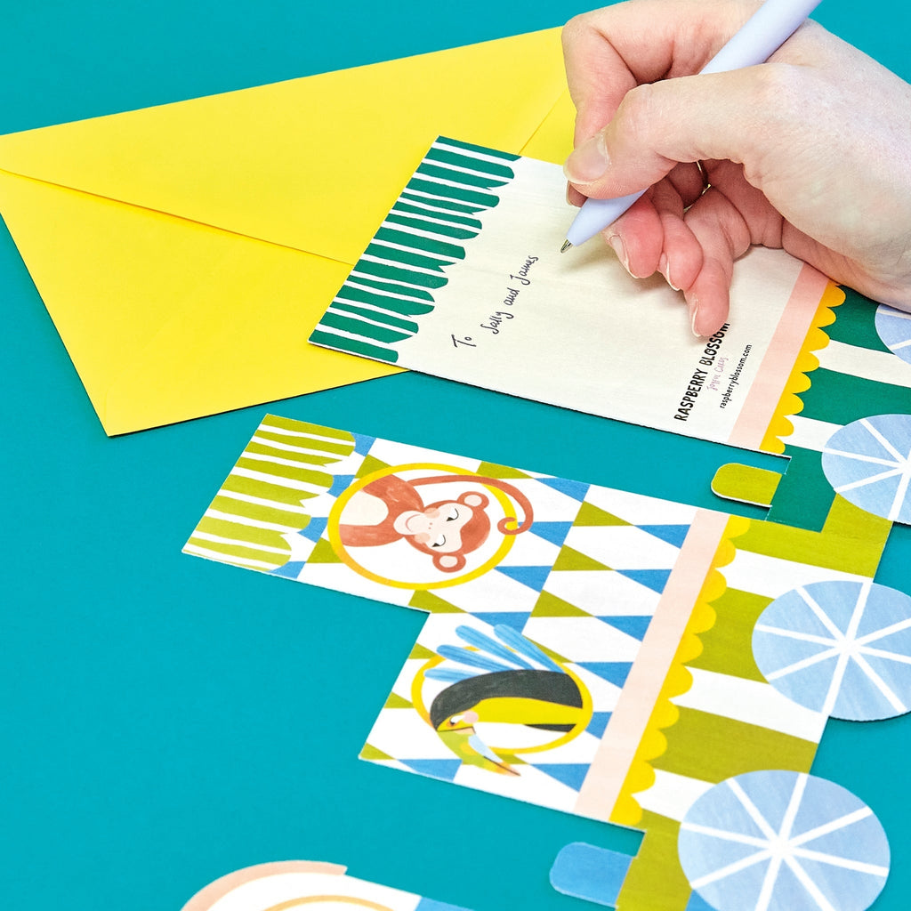 Raspberry Blossom 'Baby Boy' Concertina Fold Train Card