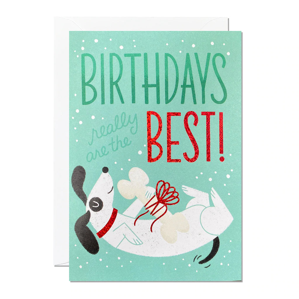 Ricicle Cards Sausage Dog Birthday Card