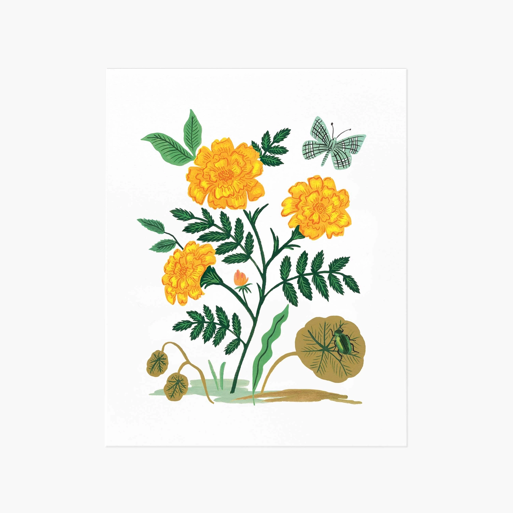 Rifle Paper Co. French Marigold Art Print