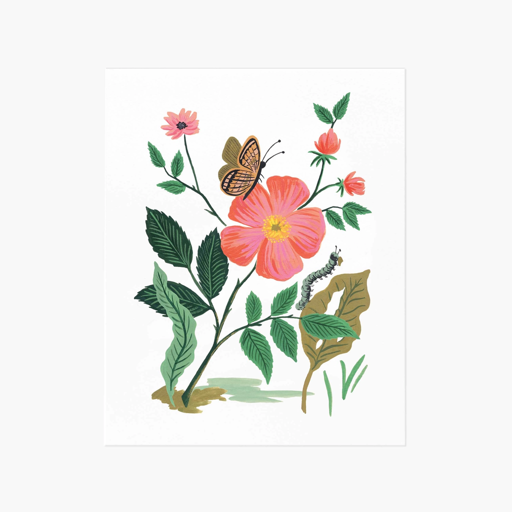 Rifle Paper Co. Garden Rose Art Print