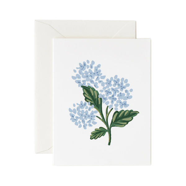 Rifle Paper Co. Botanical Blossom Card SET