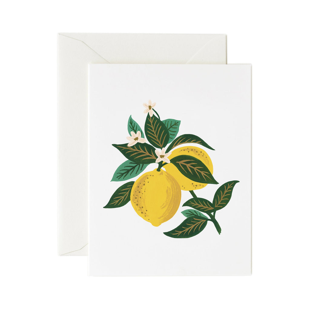 Rifle Paper Co. Botanical Blossom Card SET