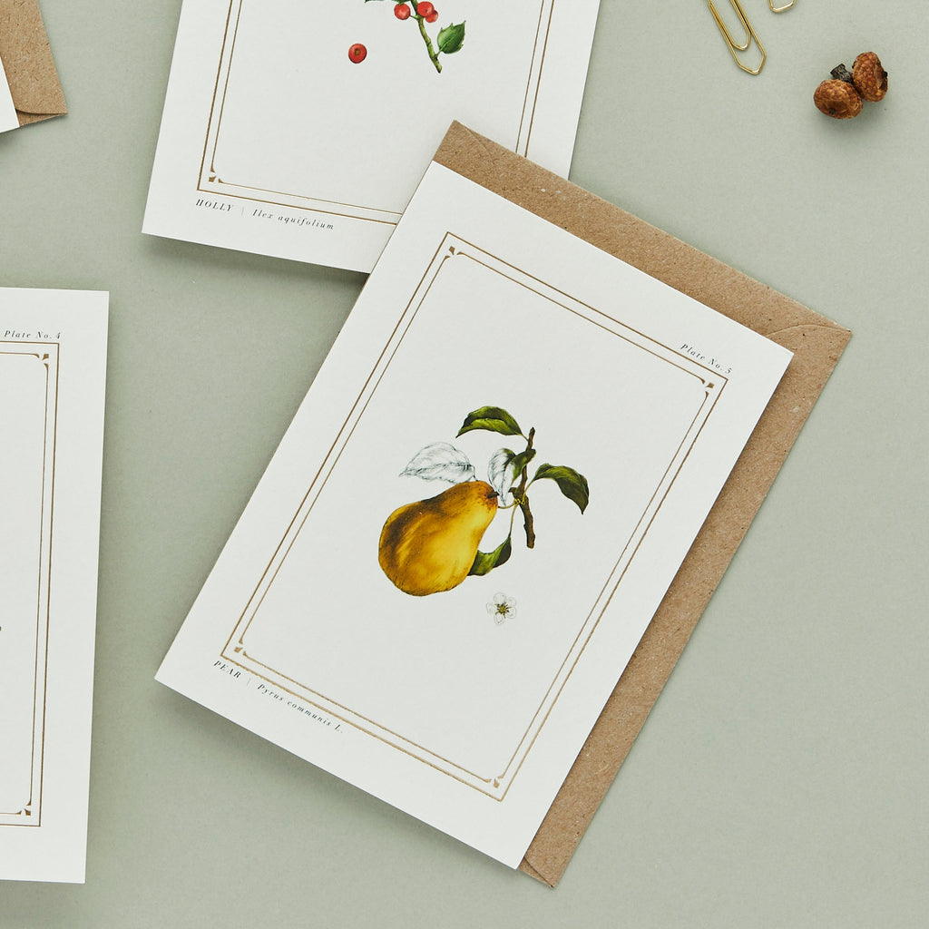Catherine Lewis Design - Pear - 'The Botanist Archive : Festive Edition' Christmas Card