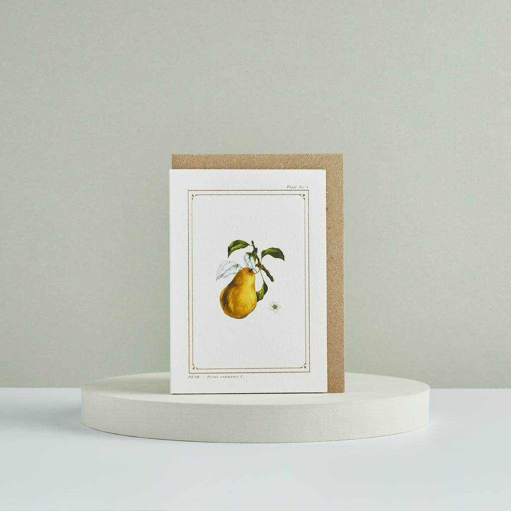 Catherine Lewis Design - Pear - 'The Botanist Archive : Festive Edition' Christmas Card