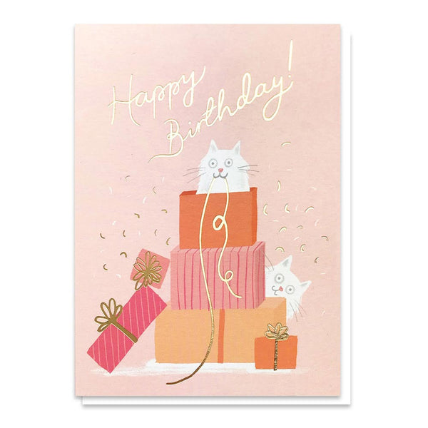 Stormy Knight Purfect Presents Birthday Card