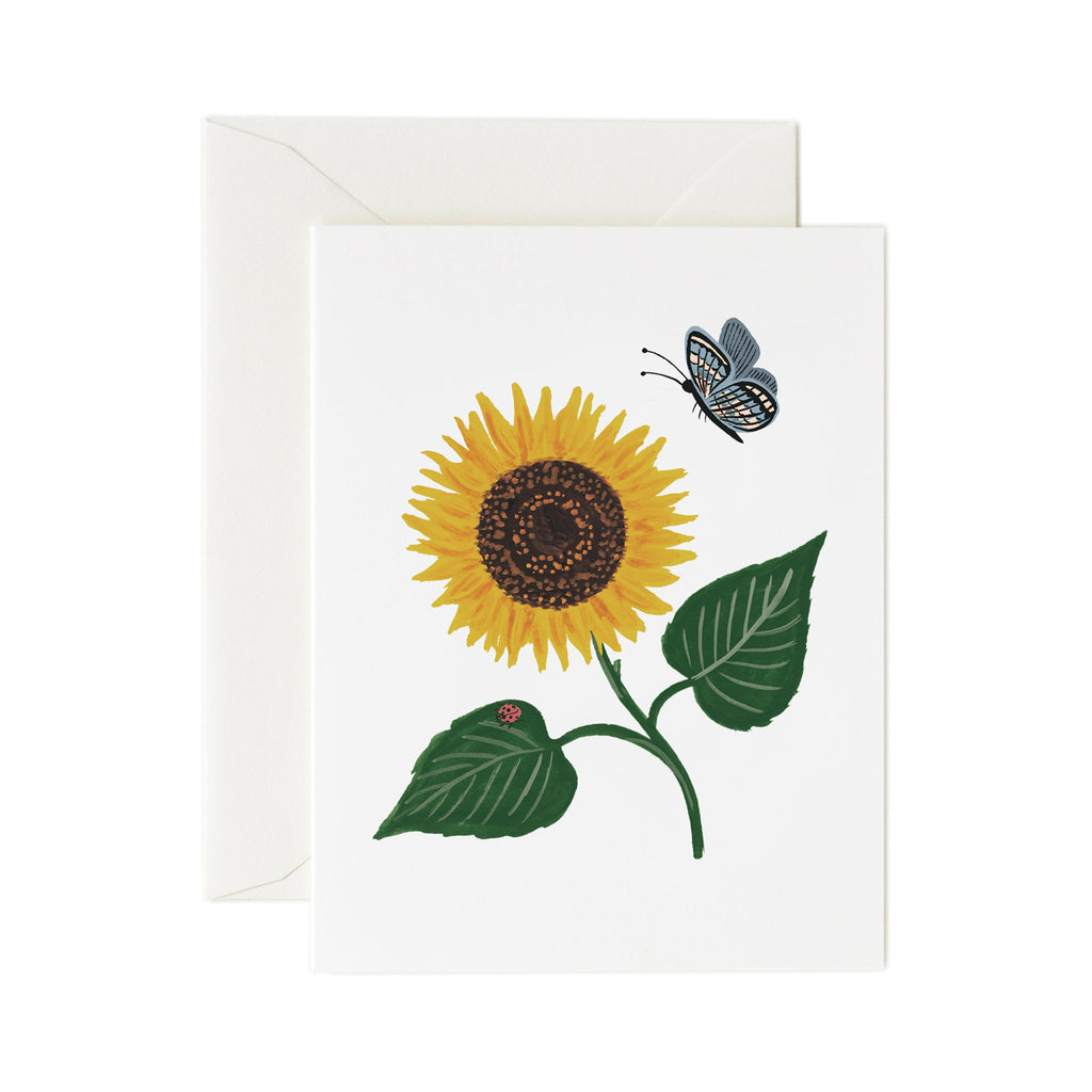 Rifle Paper Co. Botanical Blossom Card SET