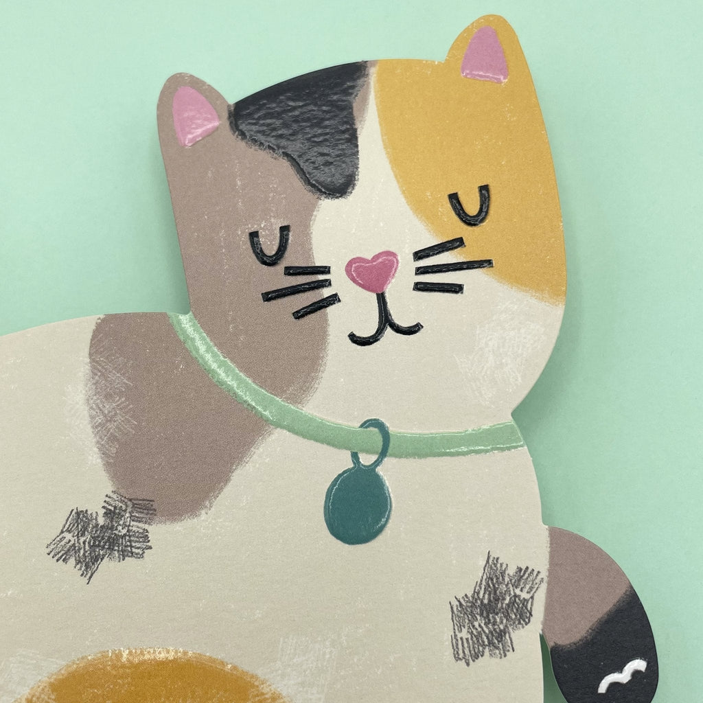 Raspberry Blossom Tabby Cat Card