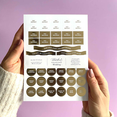 Blush And Gold - Wedding Sticker Pack (3 sheets)